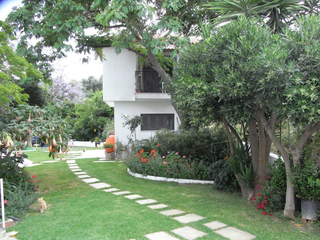 Villa Yiannis (Adults Only) Мегали Амос Екстериор снимка