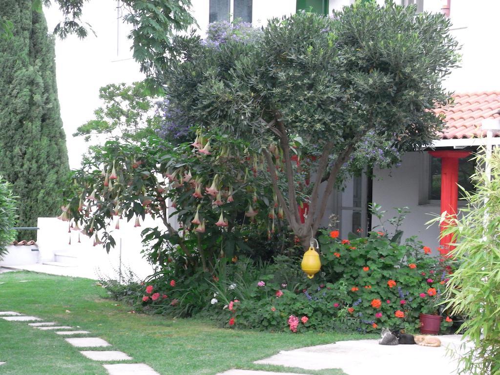 Villa Yiannis (Adults Only) Мегали Амос Екстериор снимка