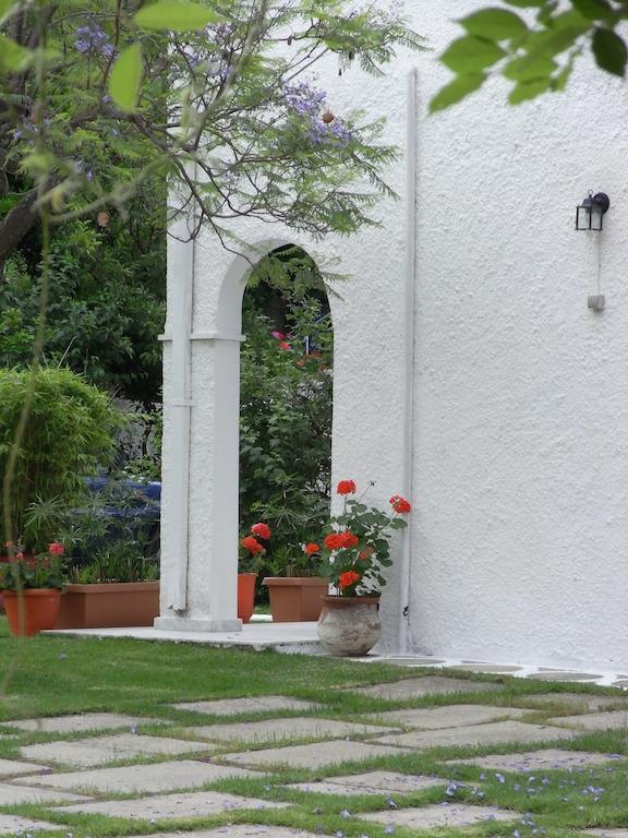 Villa Yiannis (Adults Only) Мегали Амос Екстериор снимка