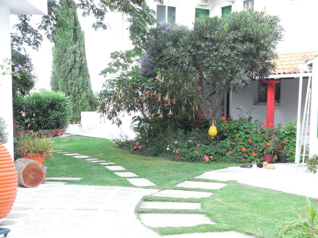 Villa Yiannis (Adults Only) Мегали Амос Екстериор снимка