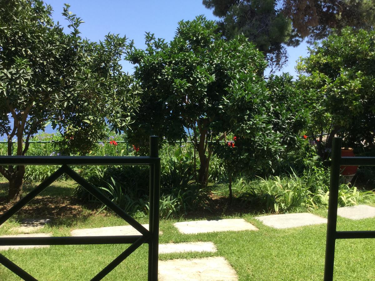 Villa Yiannis (Adults Only) Мегали Амос Екстериор снимка