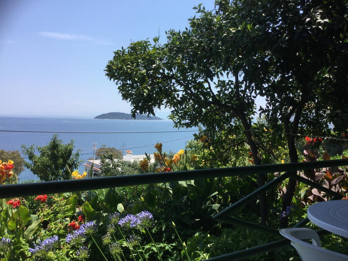Villa Yiannis (Adults Only) Мегали Амос Екстериор снимка