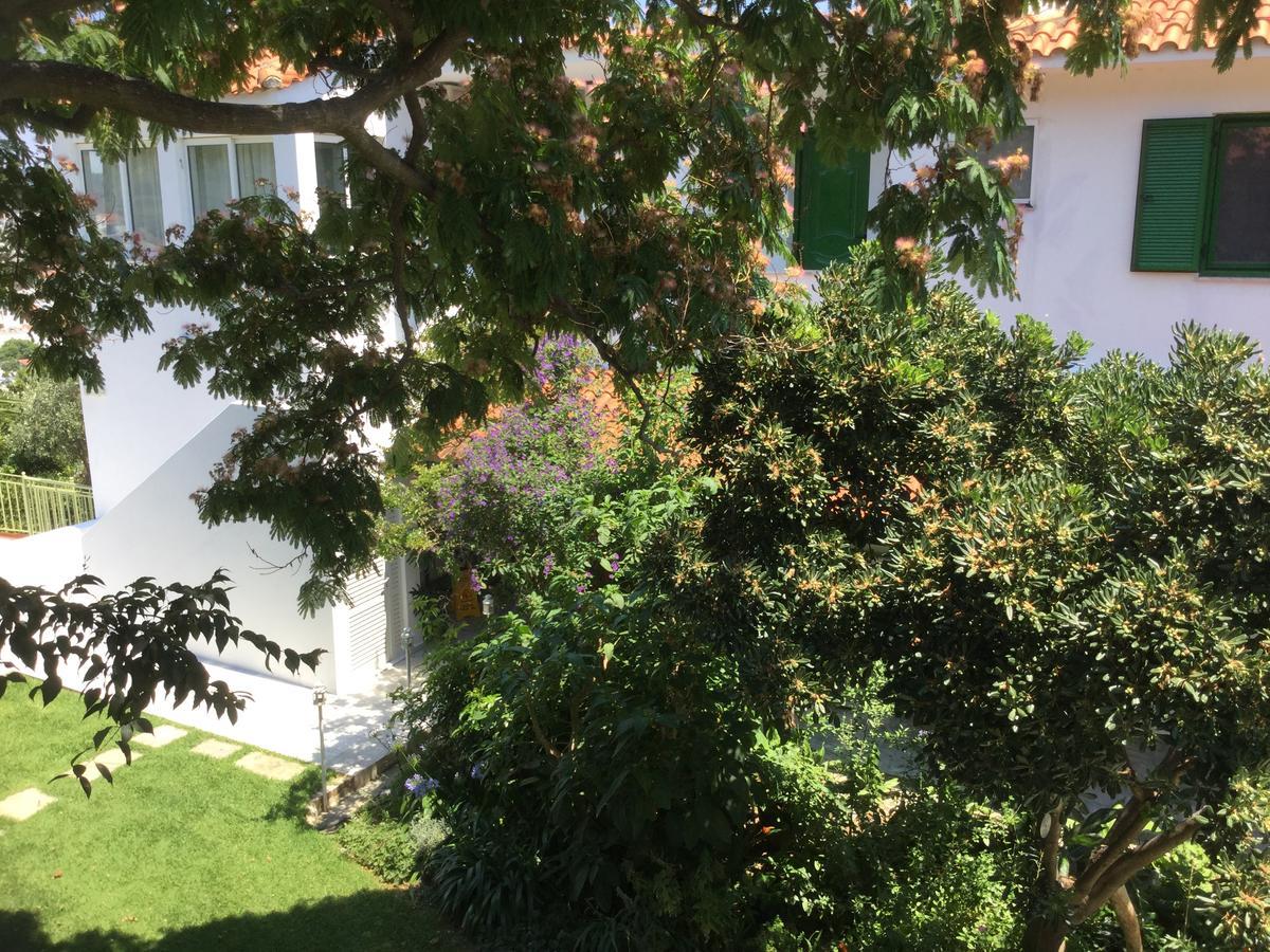 Villa Yiannis (Adults Only) Мегали Амос Екстериор снимка